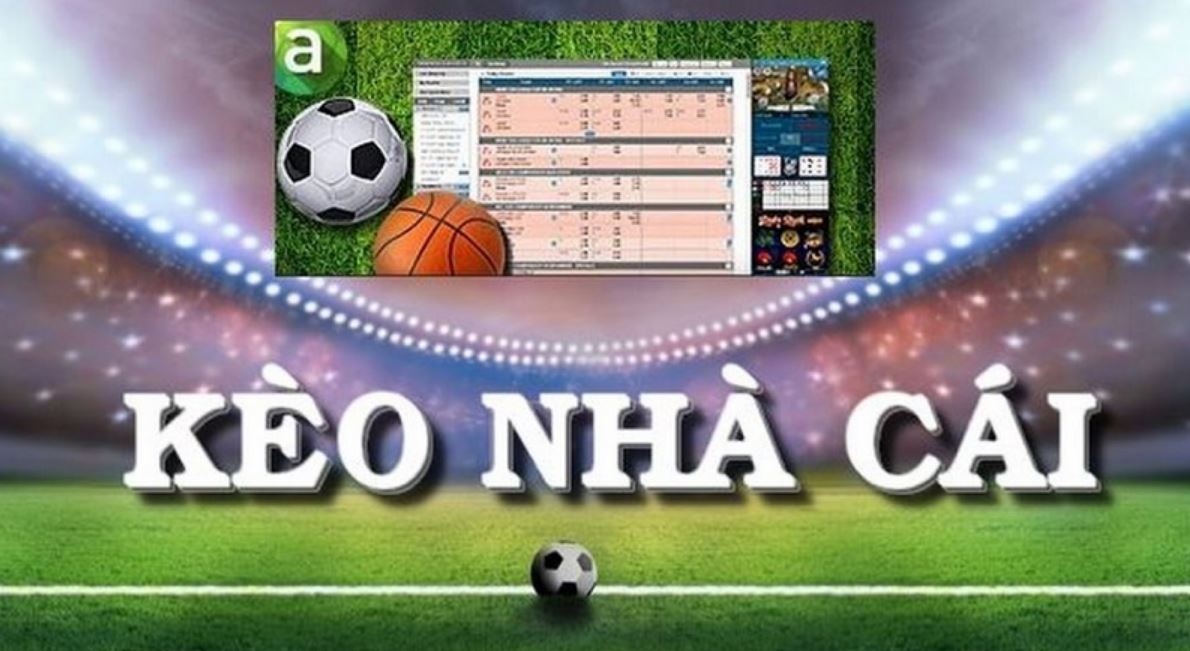Khái niệm soi kèo nhà cái là gì?